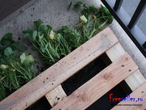 Изготовление цветочницы из поддонов своими руками