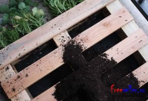 Изготовление цветочницы из поддонов своими руками