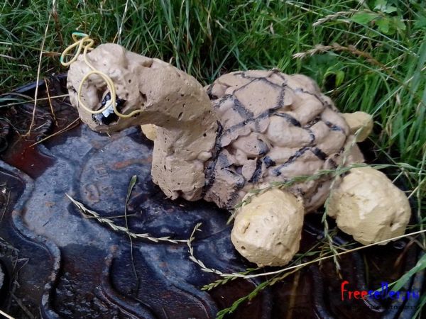 Черепаха из монтажной пены своими руками