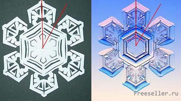 Снежинка из из бумаги. Пример копирования настоящих природных снежинок на бумагу.