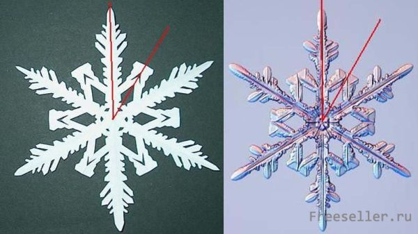 Снежинка из из бумаги. Пример копирования настоящих природных снежинок на бумагу.