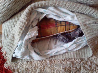 Кроватка для кошки из свитера своими руками