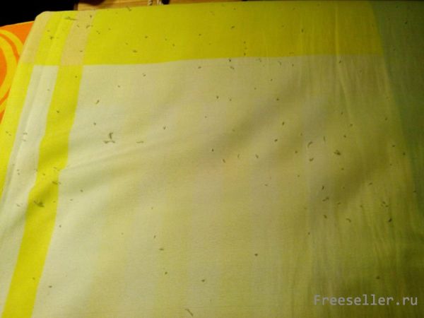 Катышке на простыне