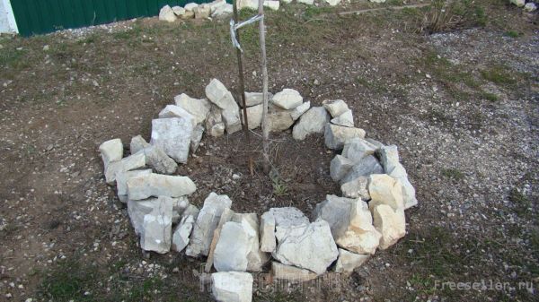 Самодельная клумба для цветов из камней