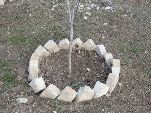 Самодельная клумба для цветов из камней