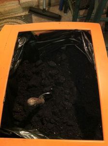 Изготовление клумбы из старого монитора