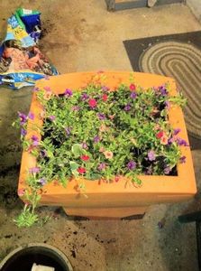 Клумба из старого монитора