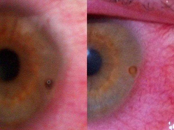 Стол с местом для костра своими руками