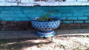 Поделки из покрышек. Вазон из шины - с цветами Петунии