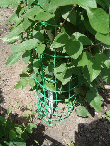 Опора для вьющихся цветов своими руками