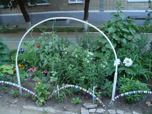 Простое решение для подвязки вьюнов