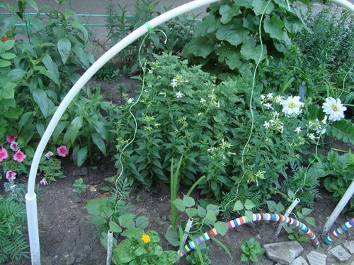 Простое решение для подвязки вьюнов