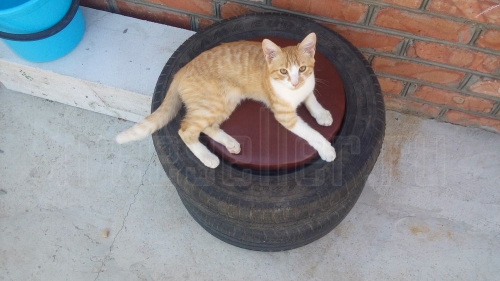 Поделки из покрышек. Мебель из шин. Самодельный пуфик из покрышек своими руками.