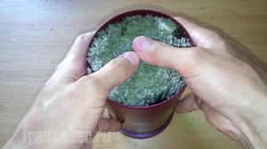 Изготовление игольницы с наполнителем