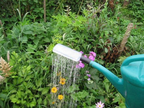 Полив с помощью самодельной насадки поливана