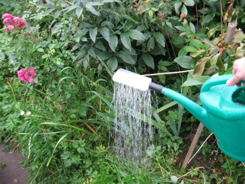 Полив с помощью самодельной насадки поливана