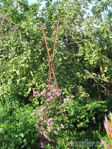 Веревка из коры для декора сада и подвязки растений