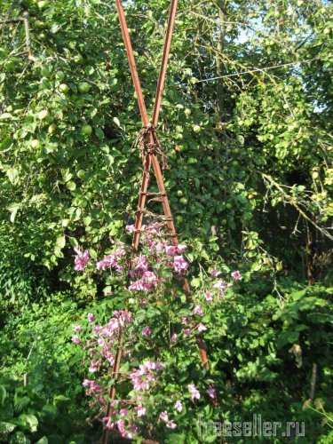 Веревка из коры для декора сада и подвязки растений