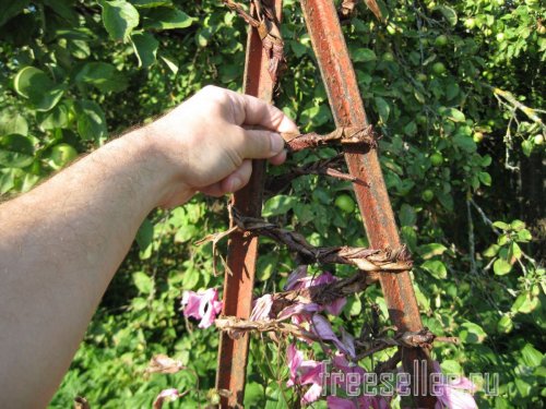 Веревка из коры для декора сада и подвязки растений