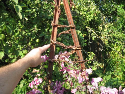 Веревка из коры для декора сада и подвязки растений