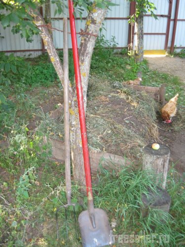 Веревка из коры для декора сада и подвязки растений