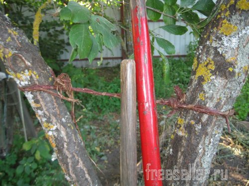 Веревка из коры для декора сада и подвязки растений