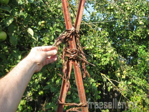 Веревка из коры для декора сада и подвязки растений