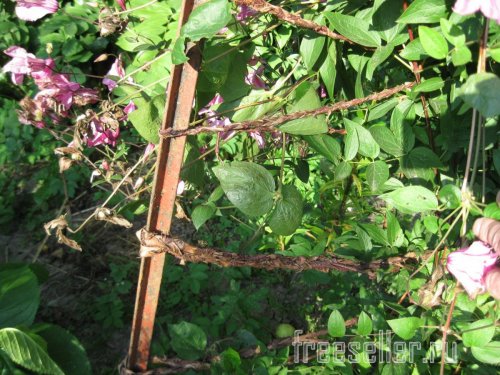 Веревка из коры для декора сада и подвязки растений