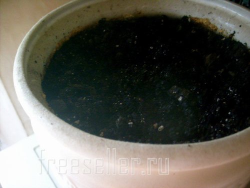 Готовим почву для посадки лука в горшке