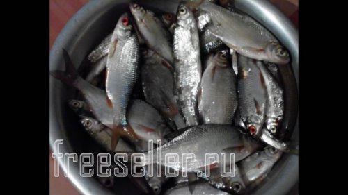 Удачного улова.