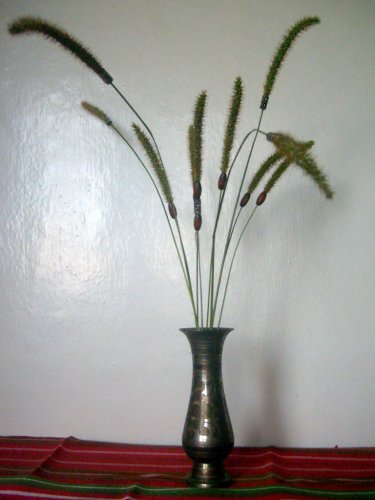 Осенние букеты. Стебли.