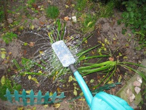 Испытания насадок для поливана