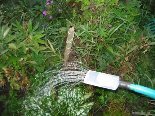 Самодельные насадки поливаны на лейку