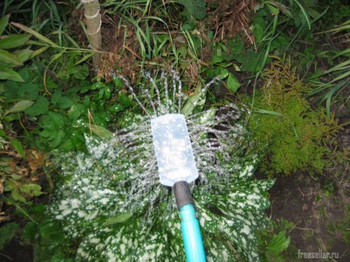 Испытания насадок для поливана