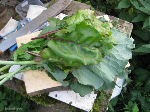 Использование мачете для измельчения листьев и ботвы