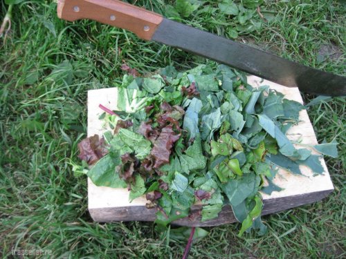 Использование мачете для измельчения листьев и ботвы