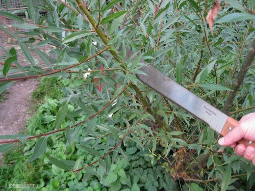 Использование мачете для обрезки веток