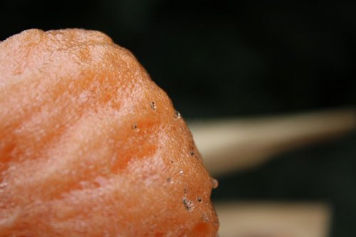 Полинор - напыляемый материал для утепления