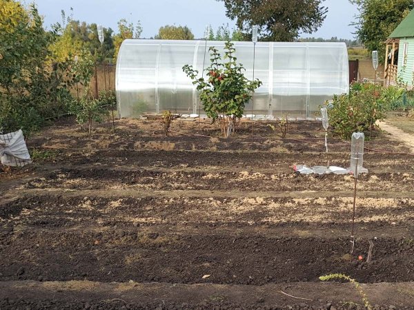 Отпугивалки для кротов из пластиковых бутылок