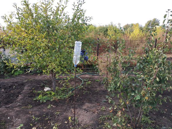 Отпугивалки для кротов из пластиковых бутылок