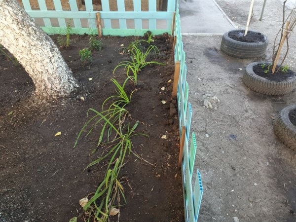 Декоративный заборчик из пластиковых панелей