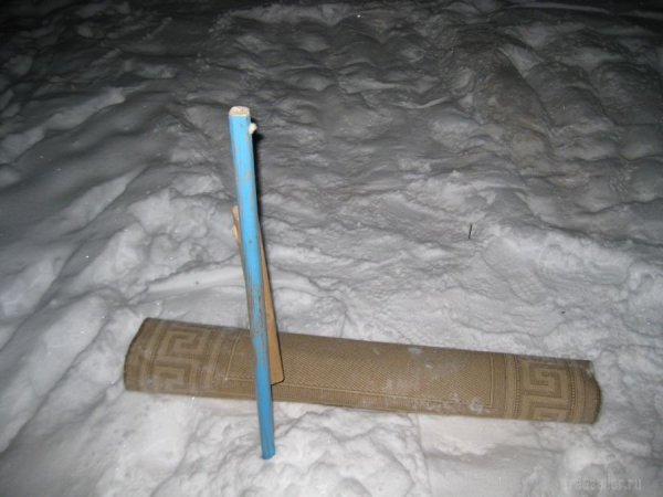 Приспособление в виде цепа для выбивания половиков