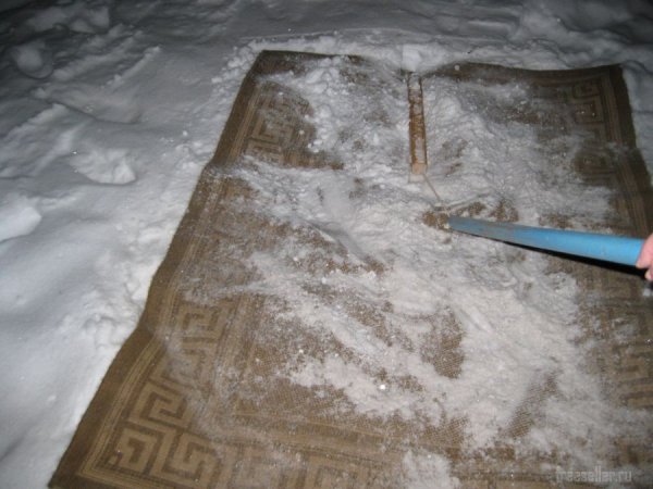 Приспособление в виде цепа для выбивания половиков