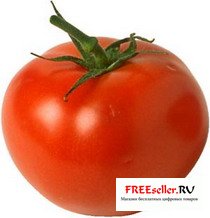 Как повысить морозоустойчивость у помидоров