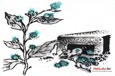 Бабушкина мышеловка