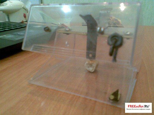 Как сделать гуманную мышеловку своими руками.