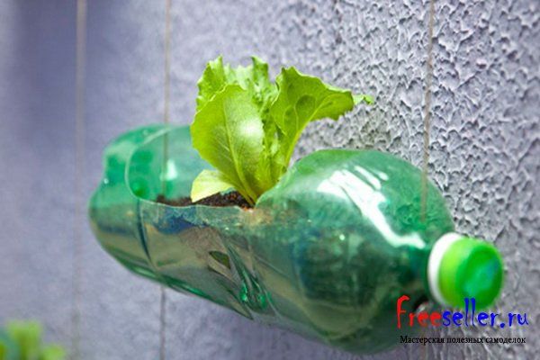 Садовые горшки из пластиковых бутылок