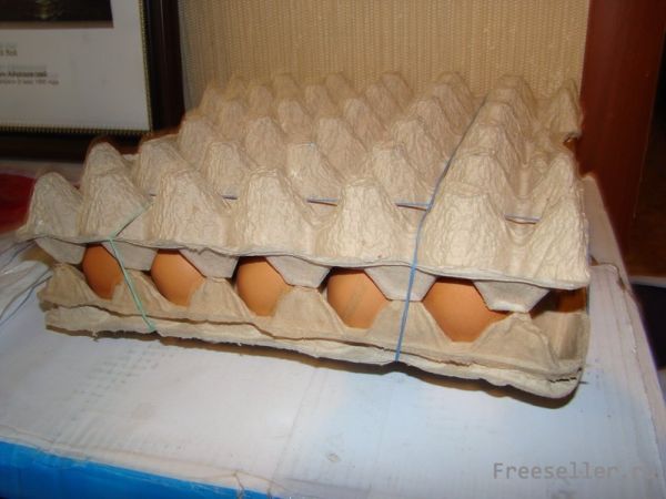 Кассета с яйцами