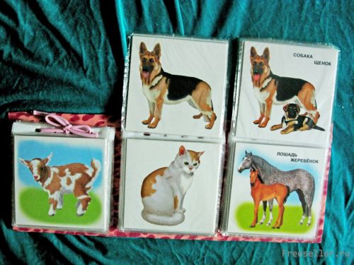 Полезная книжка для малыша и малышки своими руками