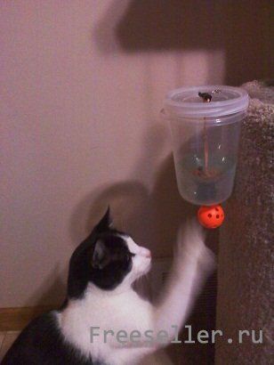 Кормушка для кошек своими руками